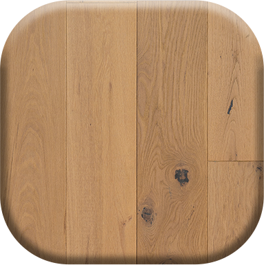 image of the collection